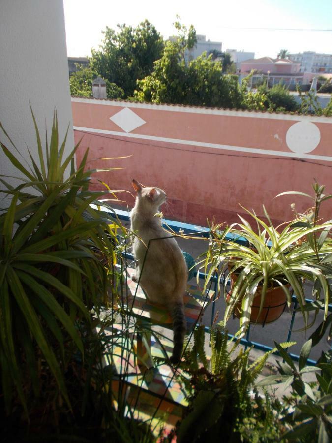 Ferienwohnung ztiR Olhão Exterior foto
