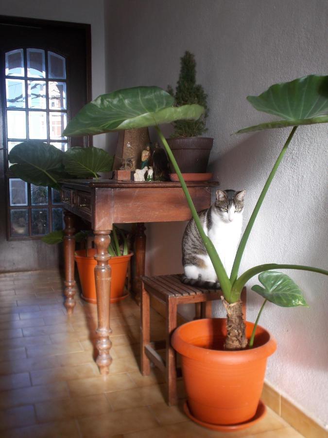 Ferienwohnung ztiR Olhão Exterior foto